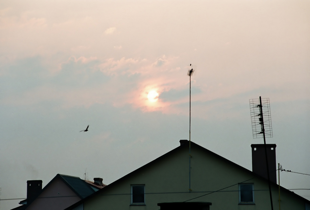 Wczytywanie Obrazu...