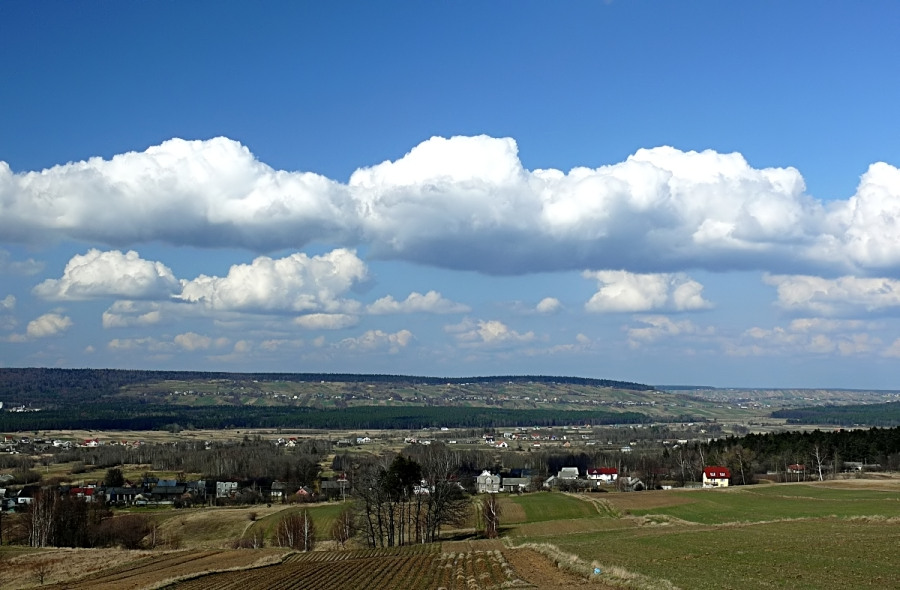 Wczytywanie Obrazu...