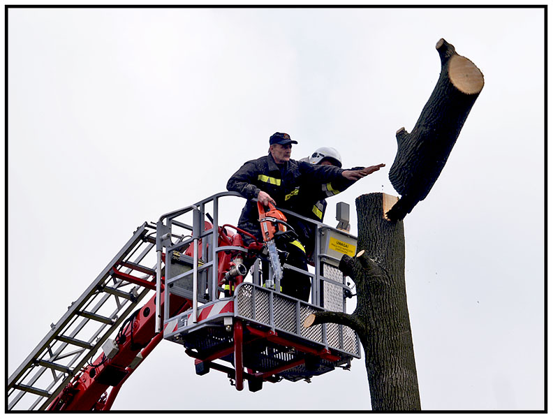 Wczytywanie Obrazu...