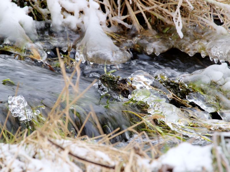 Wczytywanie Obrazu...