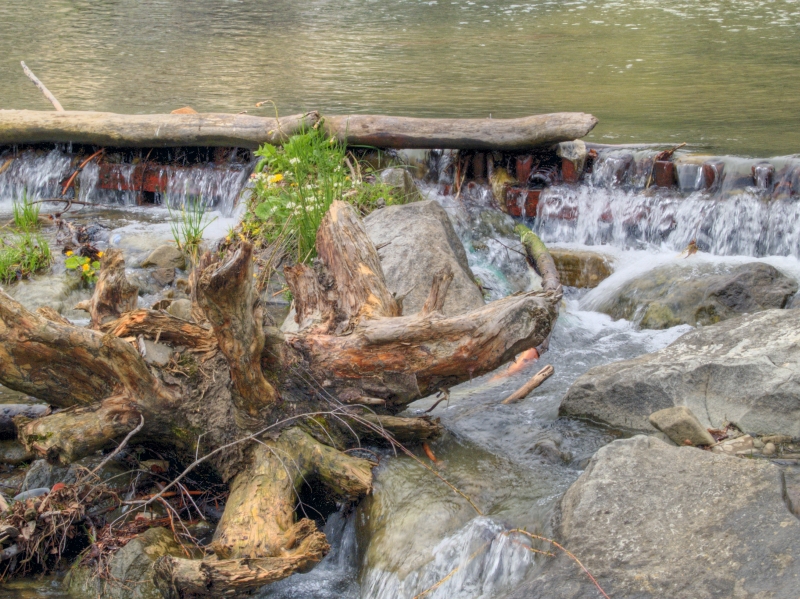 Wczytywanie Obrazu...