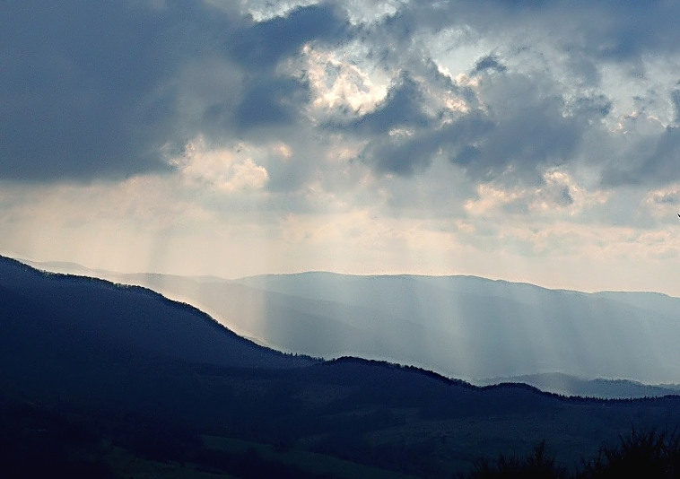 Wczytywanie Obrazu...