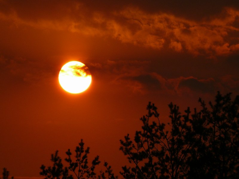 Wczytywanie Obrazu...