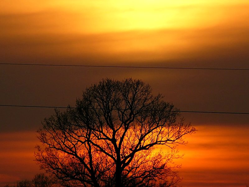 Wczytywanie Obrazu...