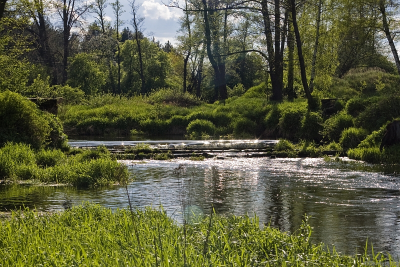 Wczytywanie Obrazu...