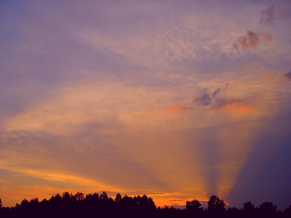 Wczytywanie Obrazu...