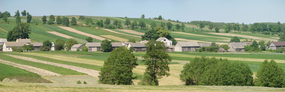 Wczytywanie Obrazu...