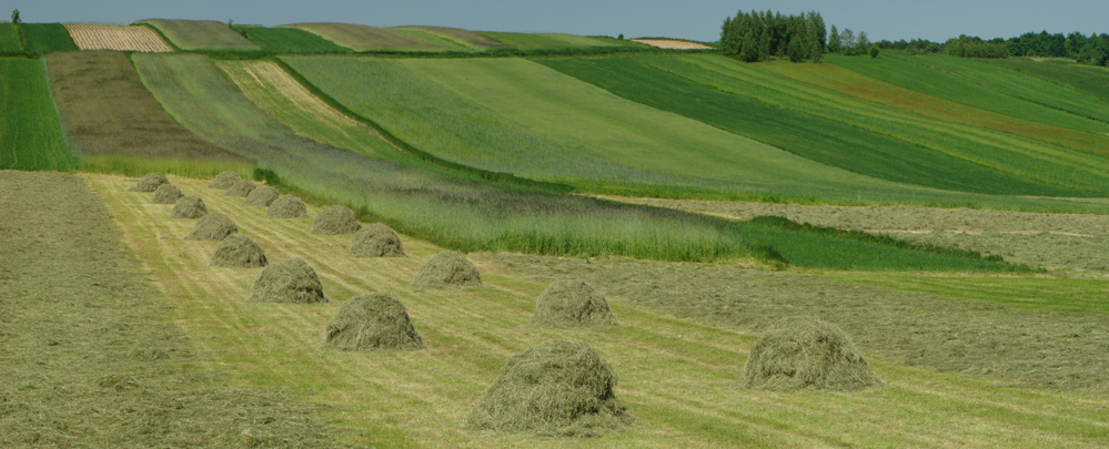 Wczytywanie Obrazu...