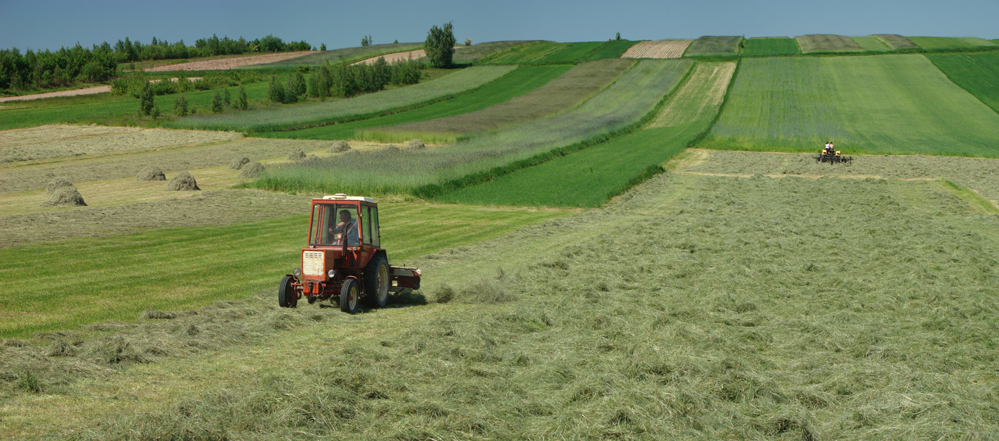 Wczytywanie Obrazu...