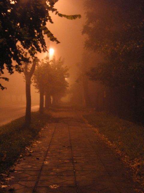 Wczytywanie Obrazu...