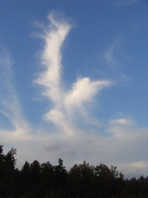 Wczytywanie Obrazu...