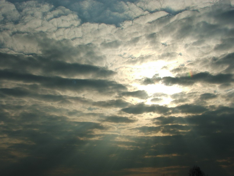 Wczytywanie Obrazu...