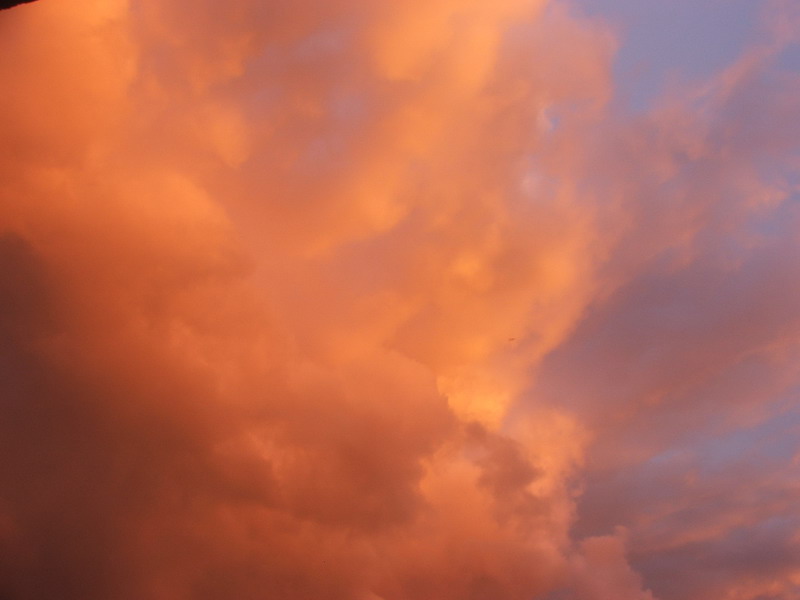 Wczytywanie Obrazu...