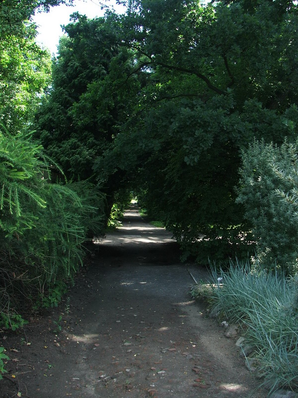 Wczytywanie Obrazu...