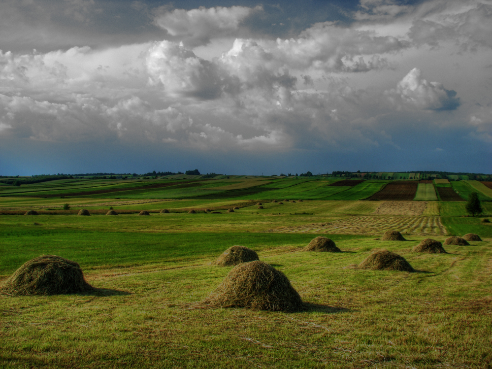 Wczytywanie Obrazu...