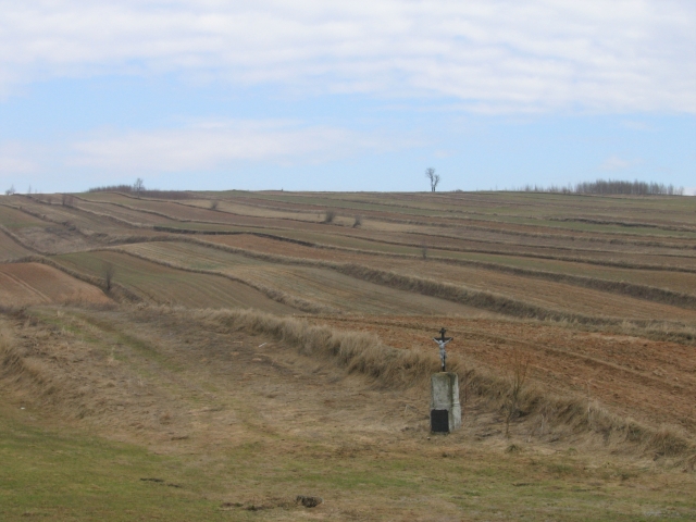 Wczytywanie Obrazu...