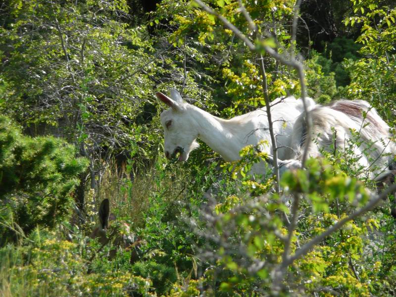 Wczytywanie Obrazu...