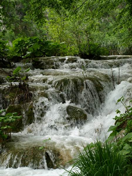 Wczytywanie Obrazu...