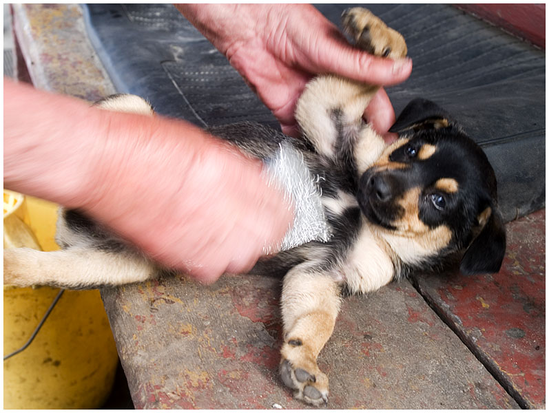 Wczytywanie Obrazu...