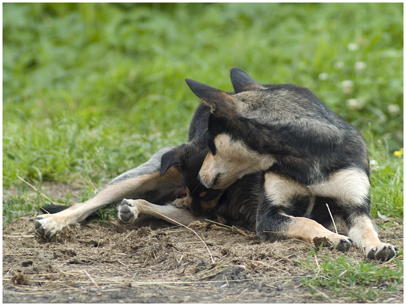Wczytywanie Obrazu...