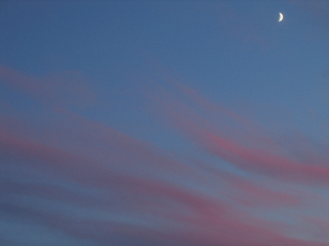 Wczytywanie Obrazu...