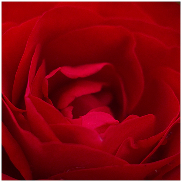 Wczytywanie Obrazu...