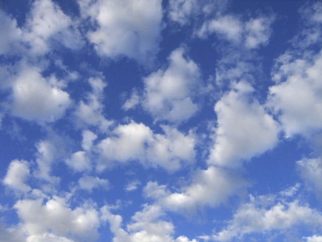 Wczytywanie Obrazu...