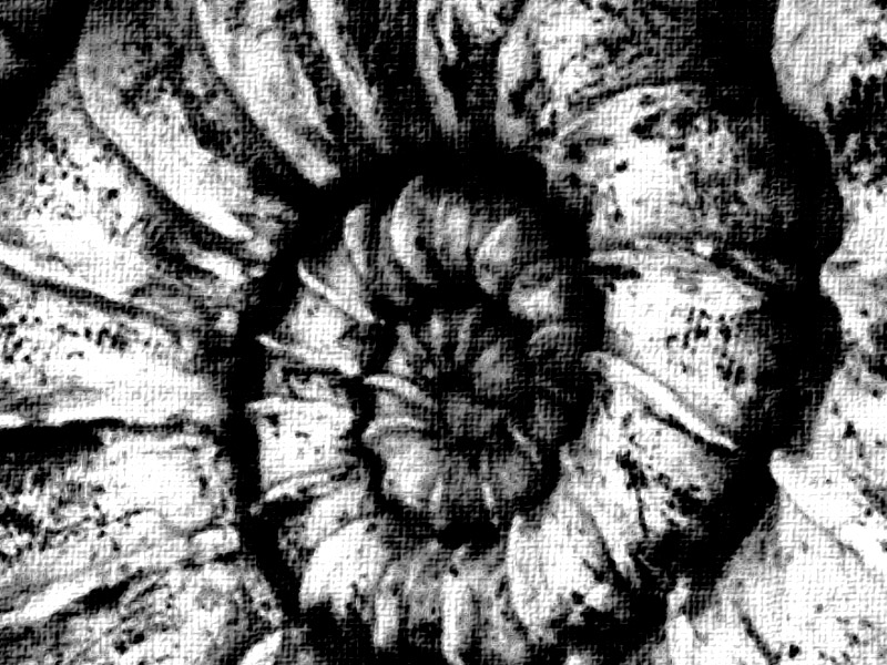 Wczytywanie Obrazu...