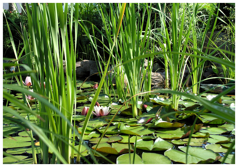 Wczytywanie Obrazu...