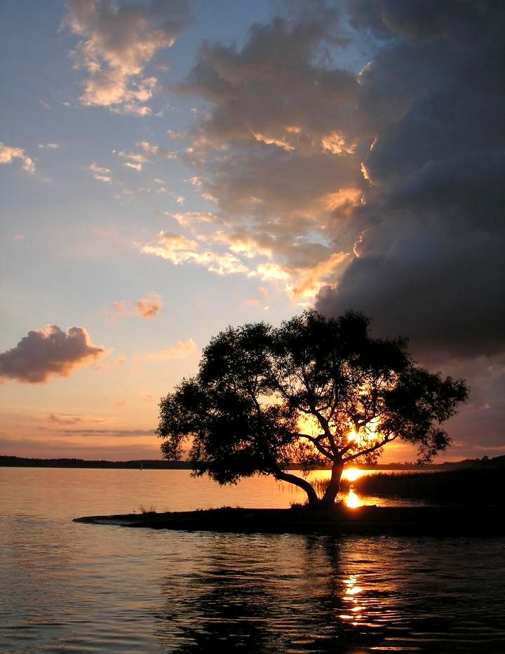 Wczytywanie Obrazu...