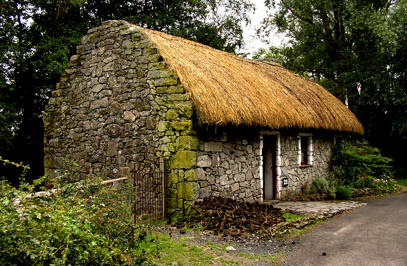 Wczytywanie Obrazu...