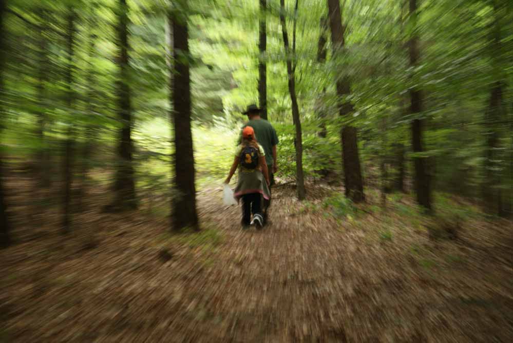 Wczytywanie Obrazu...