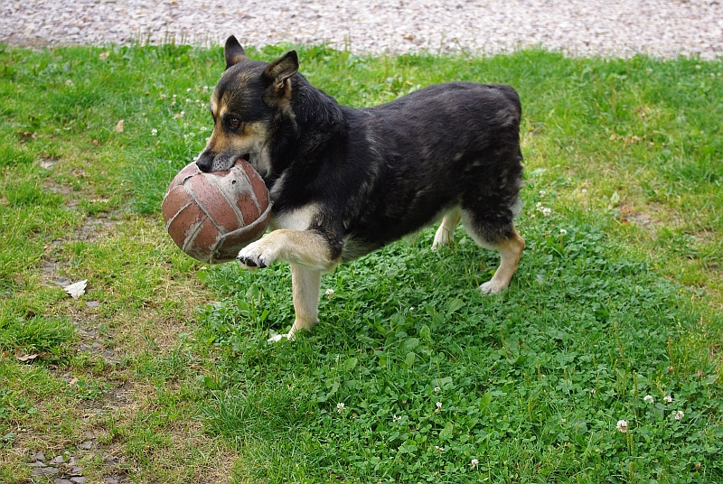 Wczytywanie Obrazu...