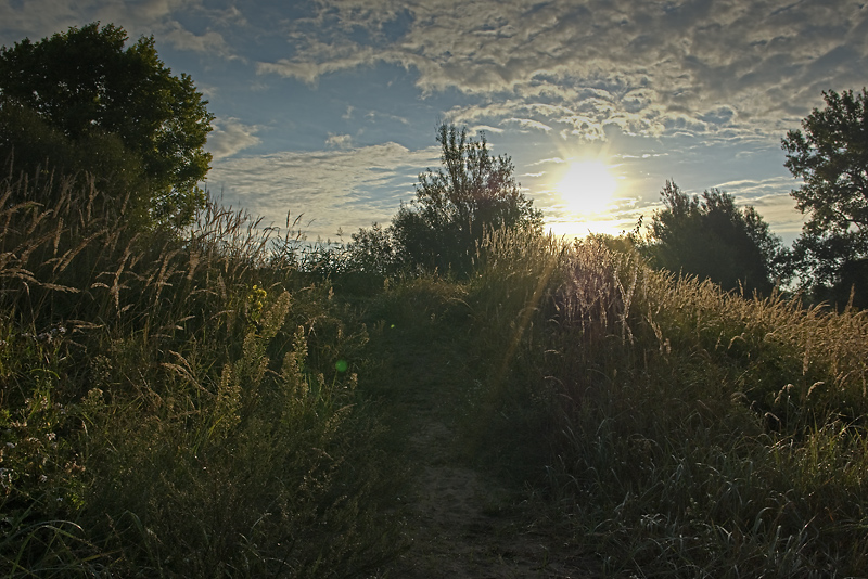 Wczytywanie Obrazu...