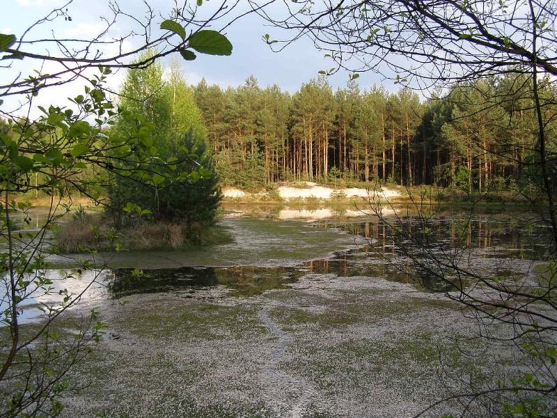 Wczytywanie Obrazu...