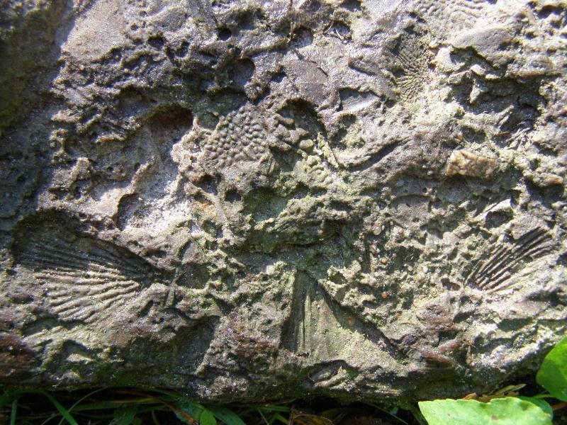 Wczytywanie Obrazu...