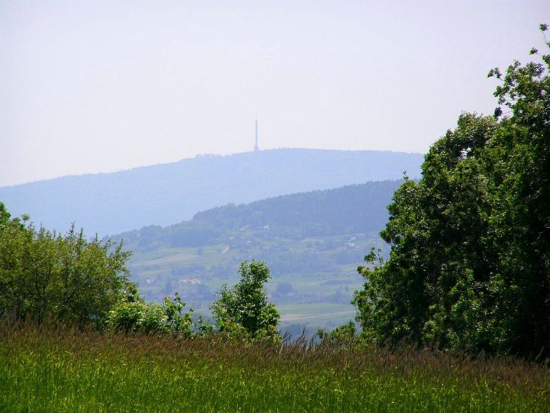 Wczytywanie Obrazu...