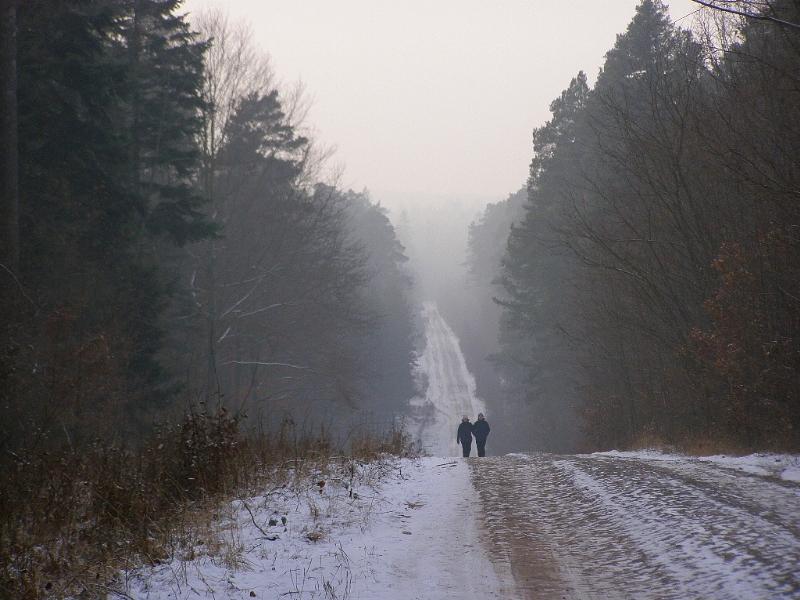 Wczytywanie Obrazu...