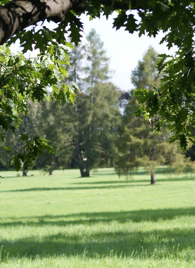 Wczytywanie Obrazu...