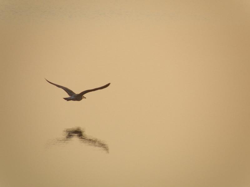 Wczytywanie Obrazu...