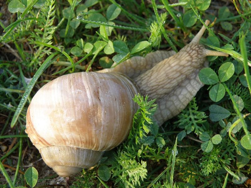 Wczytywanie Obrazu...