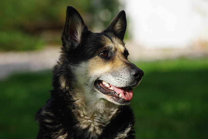 Wczytywanie Obrazu...