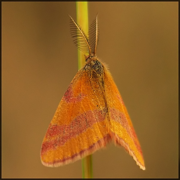 Wczytywanie Obrazu...