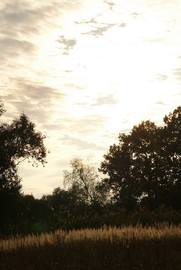 Wczytywanie Obrazu...