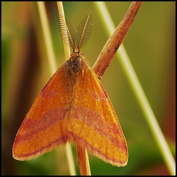 Wczytywanie Obrazu...