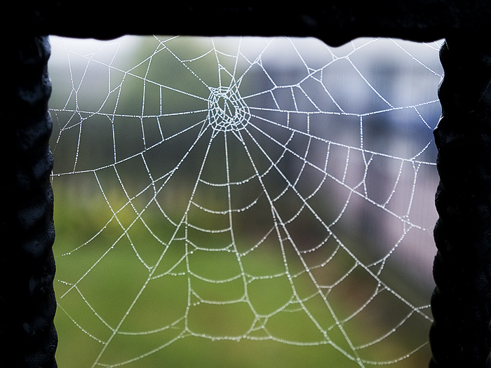 Wczytywanie Obrazu...