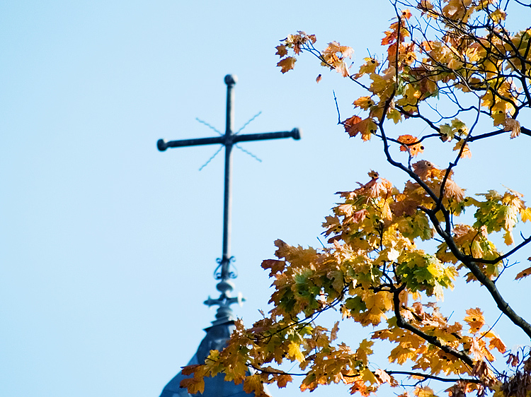 Wczytywanie Obrazu...