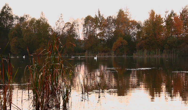 Wczytywanie Obrazu...