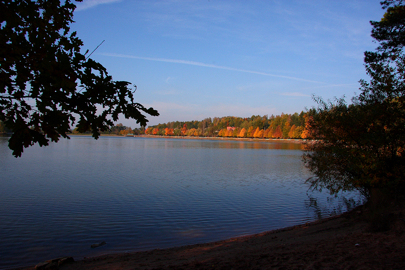 Wczytywanie Obrazu...