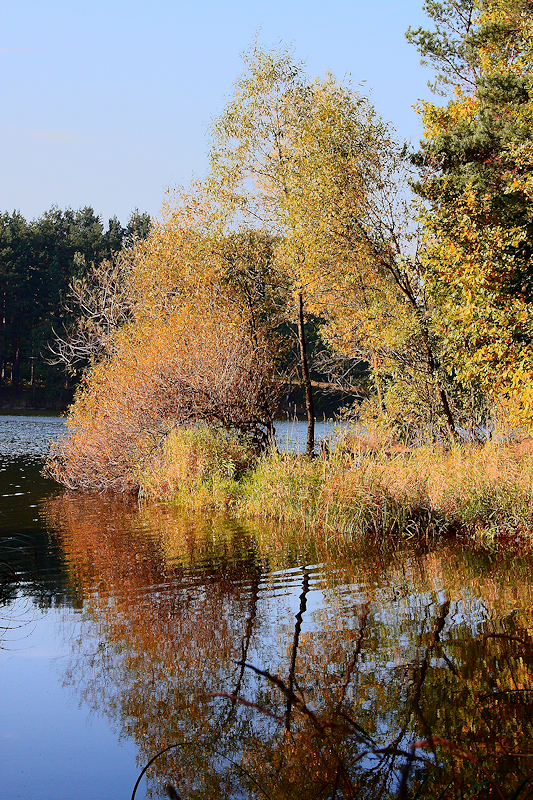 Wczytywanie Obrazu...